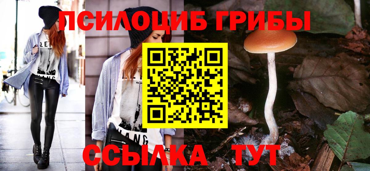 Псилоцибиновые грибы ЛСД Серпухов