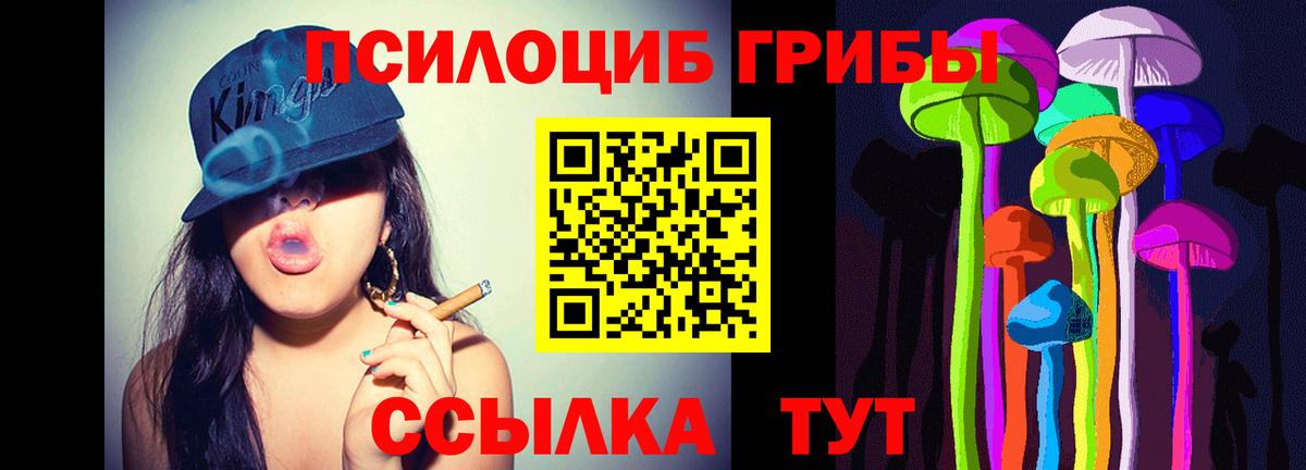 Галлюциногенные грибы Psilocybine cubensis  Вход с VPN  Серпухов 
